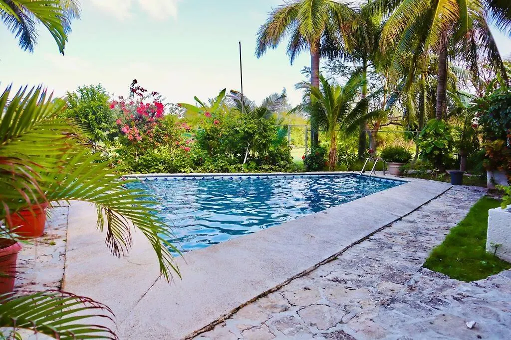 Apartment Ferienwohnung Lindo Y Amplio Departamento En Planta Baja 2 Hab -Col106 Cancún